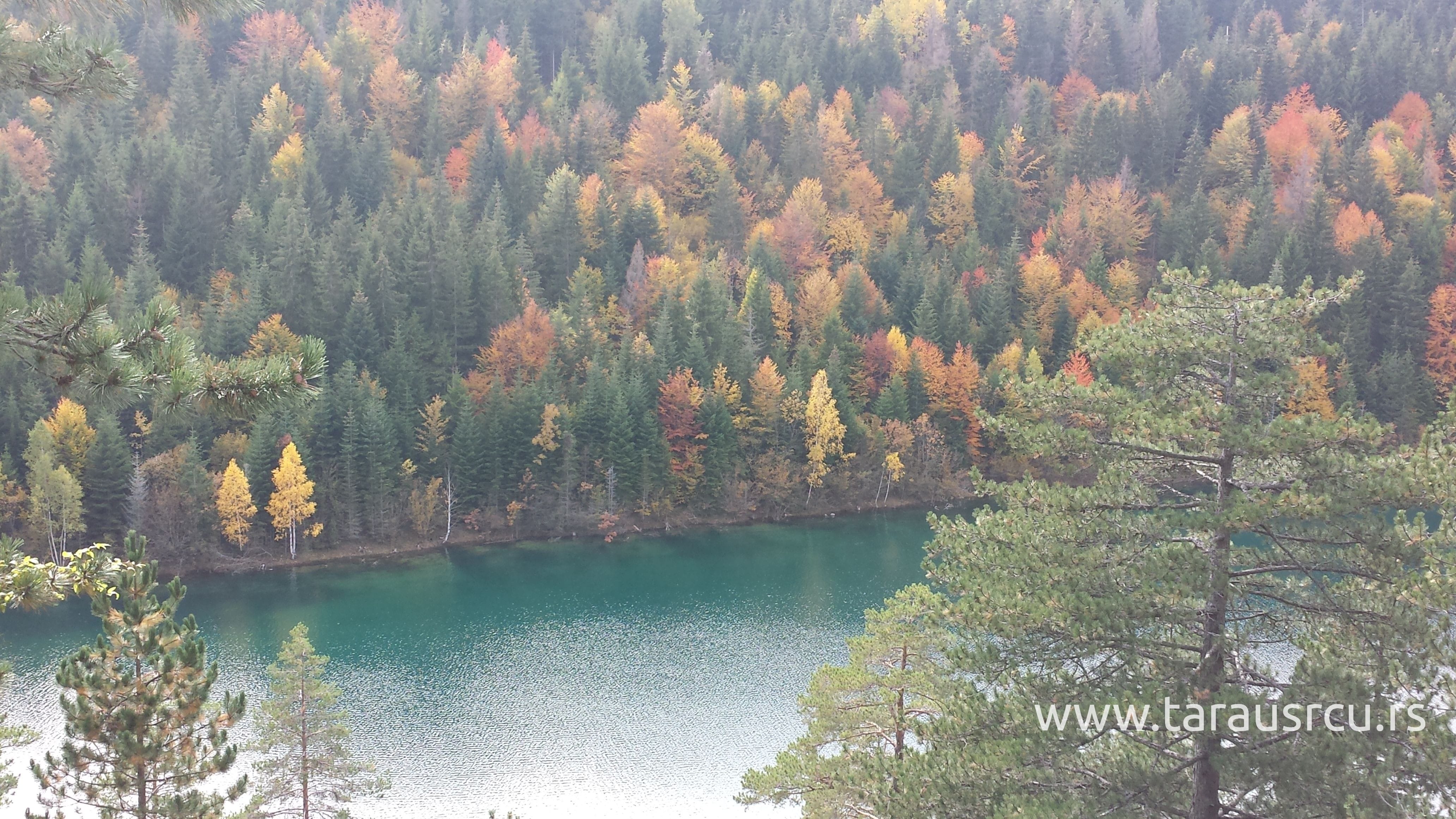Tara-Zaovine-jesen