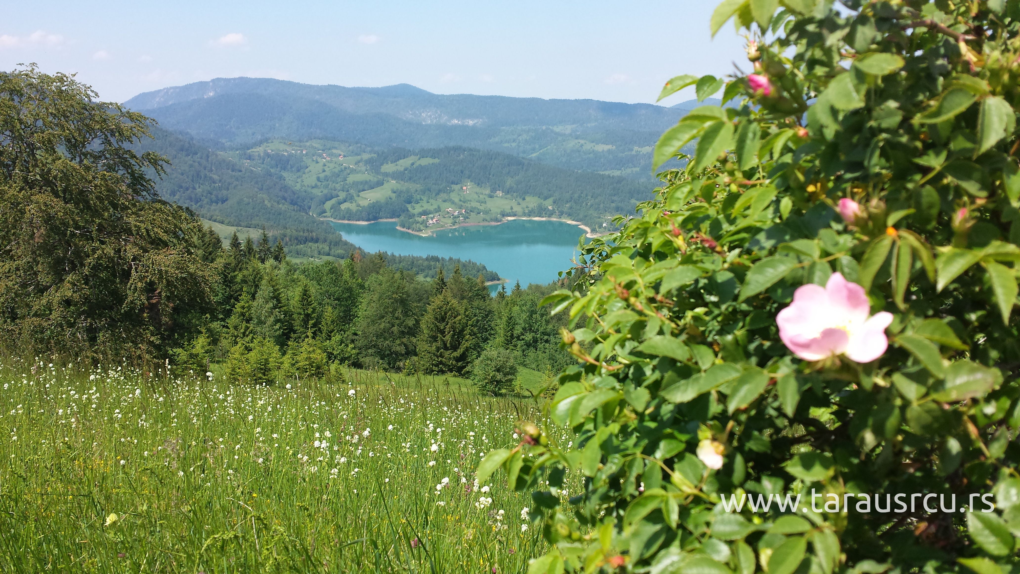 Tara-Zaovine-proleće